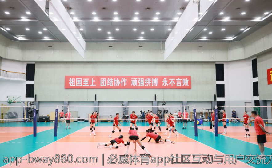 必威体育app社区互动与用户交流方式